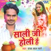 About Saali Ji Holi Hai Song